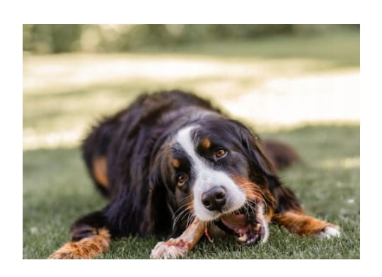 b0a04cb5ce4e273833c83b3959265cc7