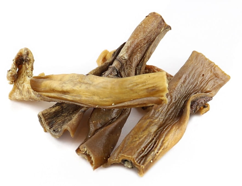 70ad042985f04265b74c6d43c66fc487