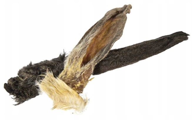 fe9a4250c9b094f65575e4f8469bc6ed