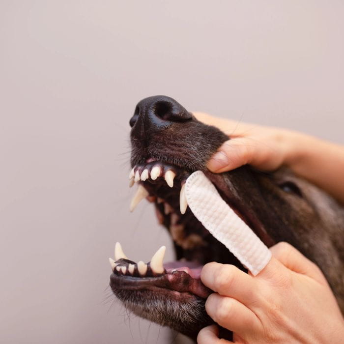 5b5c9185cb7184292f597b5e00303532