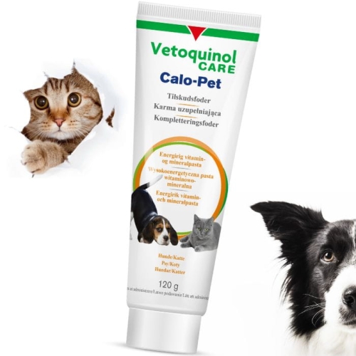 Calo-Pet Vetoquinol na wzmocnienie psa kota 120g