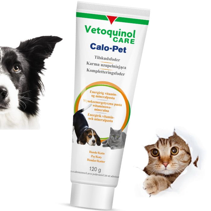 5bf9ff04007729075f1cfd69ad9d1436