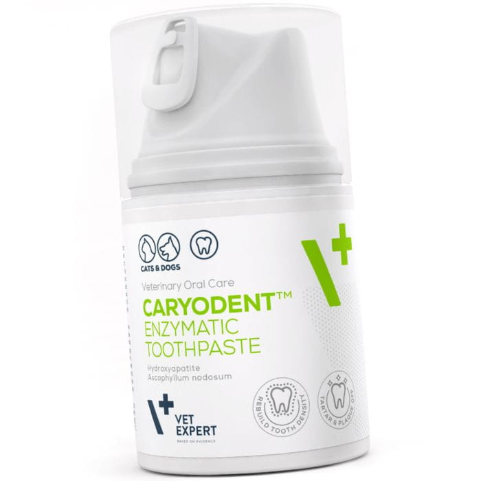 2e5f023882631fb6c53376d2d1b48151