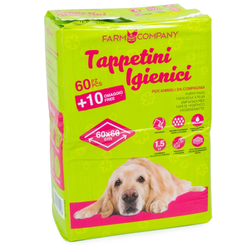 bed8987475151d582a5576da664a5e42