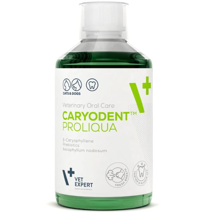 501e97f3b4350a0227b5eafea548ccf4