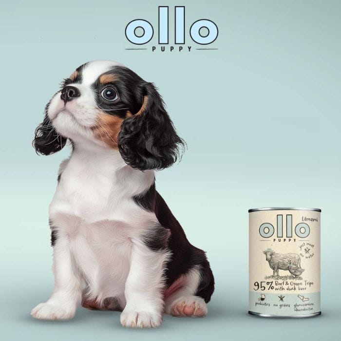 Ollo Puppy Umami mokra karma dla szczeniąt wołowina żwacze wątróbka 850g