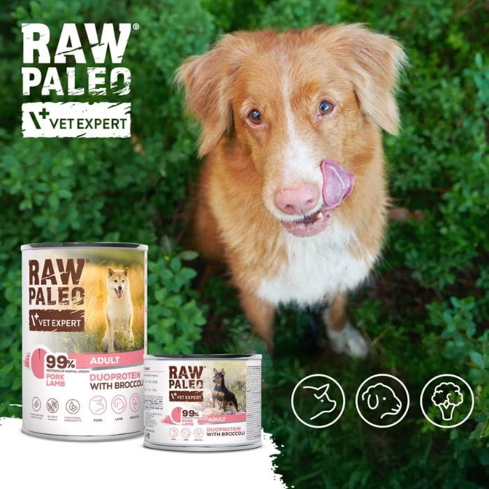 7ea50637d4ce9b520bfdd33cbf0bbbce