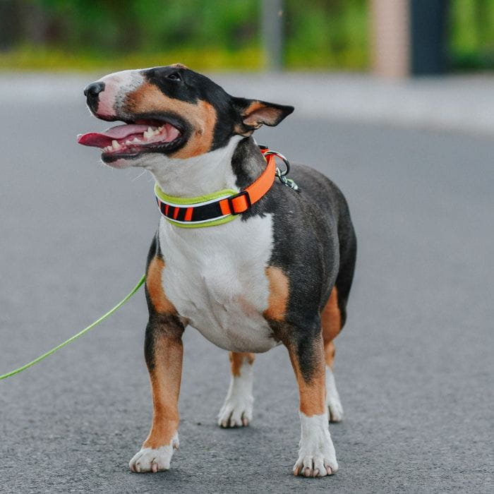 1b5f6b68393670ae018ebab3e5761fe2