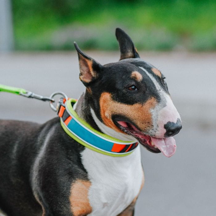 15be4773e5e9789b547bc1170d958f16