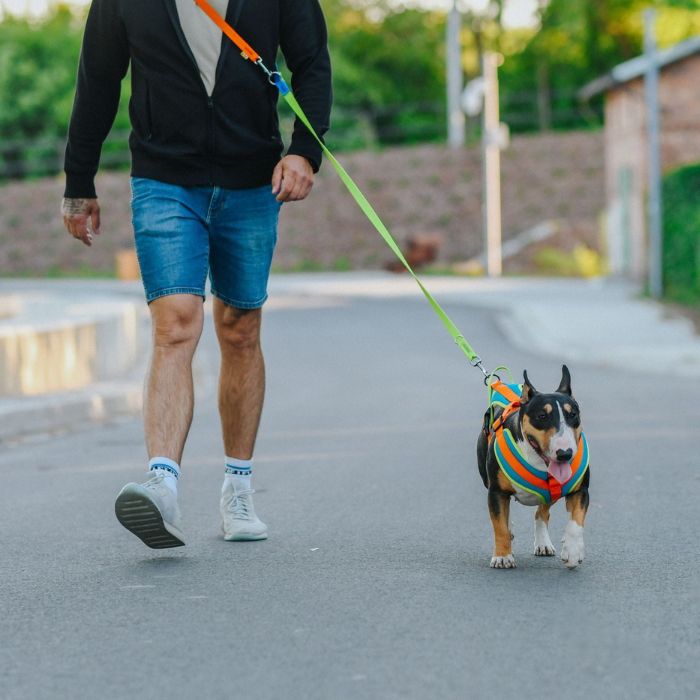 0f4e816385fc2dc4942c3e94c8983c10