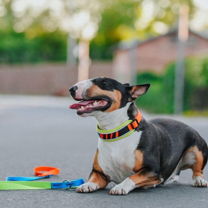 9f9d6f26b70f9f57bd228c60e387817e