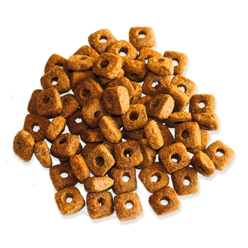 bb7b077fb9d4fc0a3536f4340330a9c3