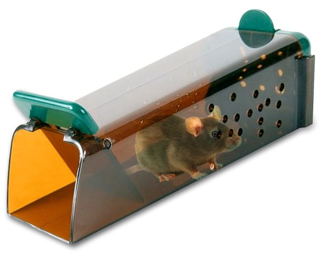 ca4d41d81609d784cbf99498f6d4a911