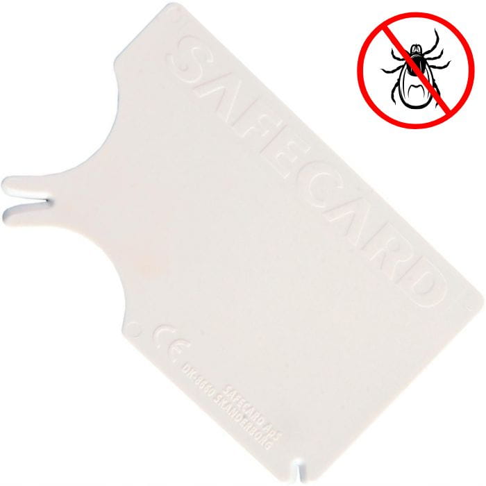 d536f3b94dfd524cc425012d65e556e3