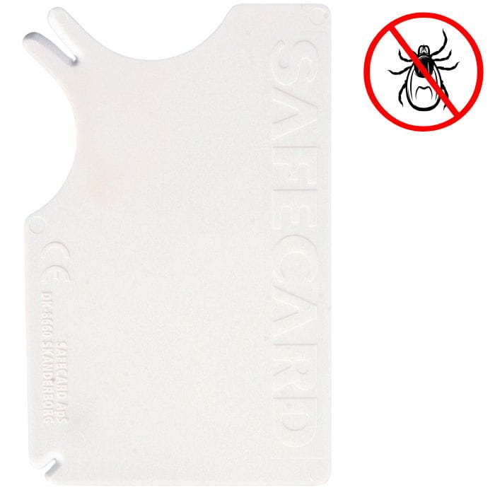 46ca976d2000bdb96a8370d2f494e294