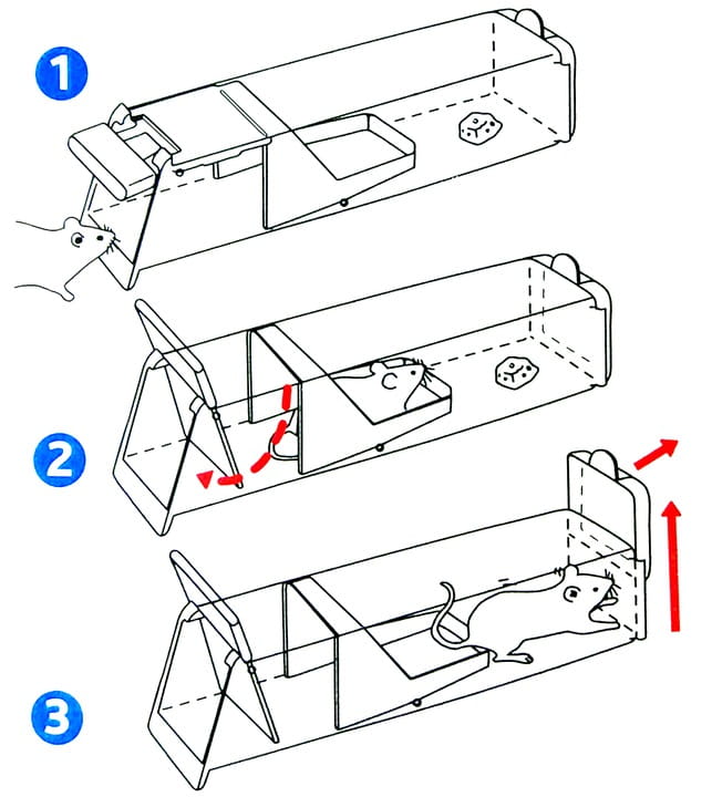 f5e479a257ce60b31edac01b9bc245ae