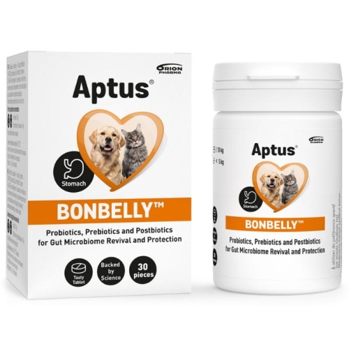 APTUS Bonbelly Probiotyk Prebiotyk Postbiotyk Witaminy B1 B2 B3 B6 30 tab