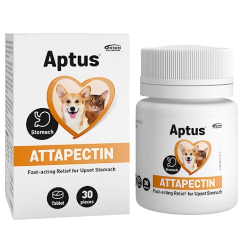 APTUS Attapetcin na biegunkę Pies Kot 30 tabletek