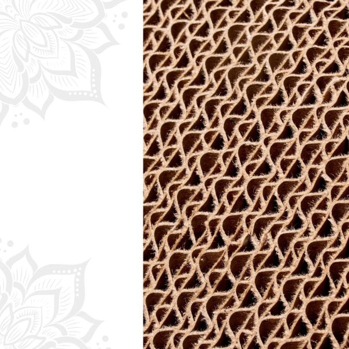 270c61070f5d5f11d6267819e4f1e025