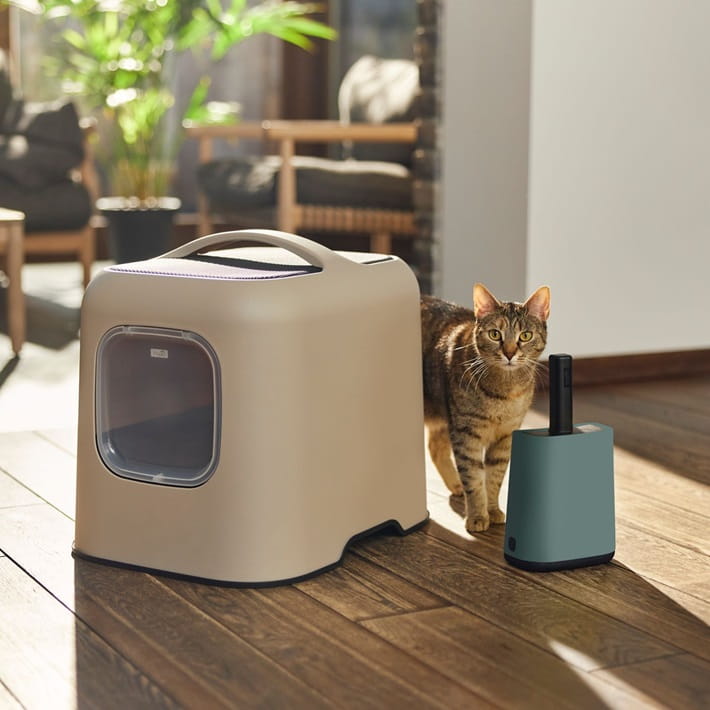 8ca95e66b81471f937281343af4da0d6