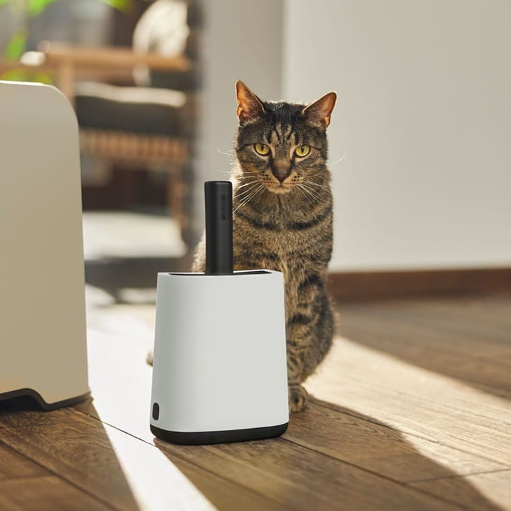 2f886bc9ca82279cadce2fdda2637a85