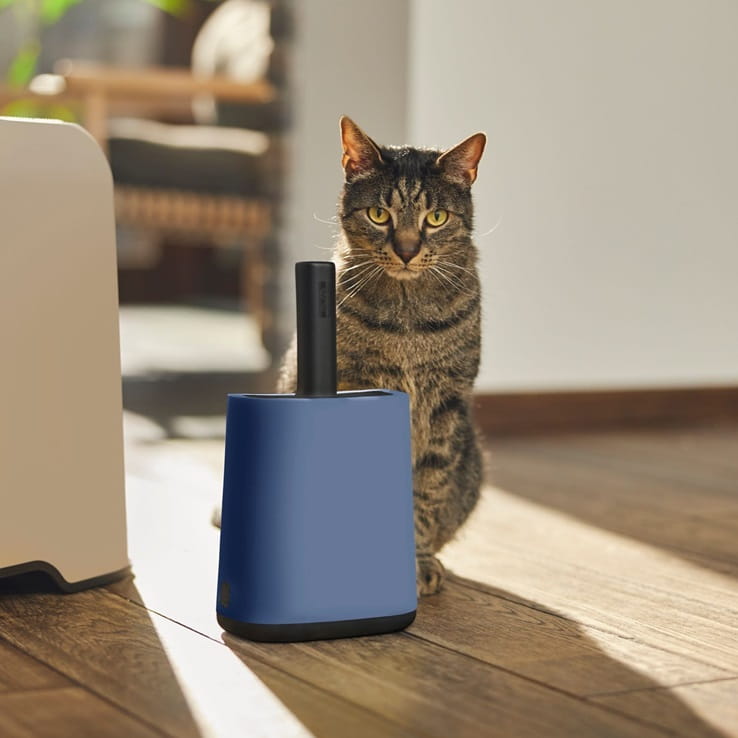 70bc8fcbf35259f2b257833c2b21bc70