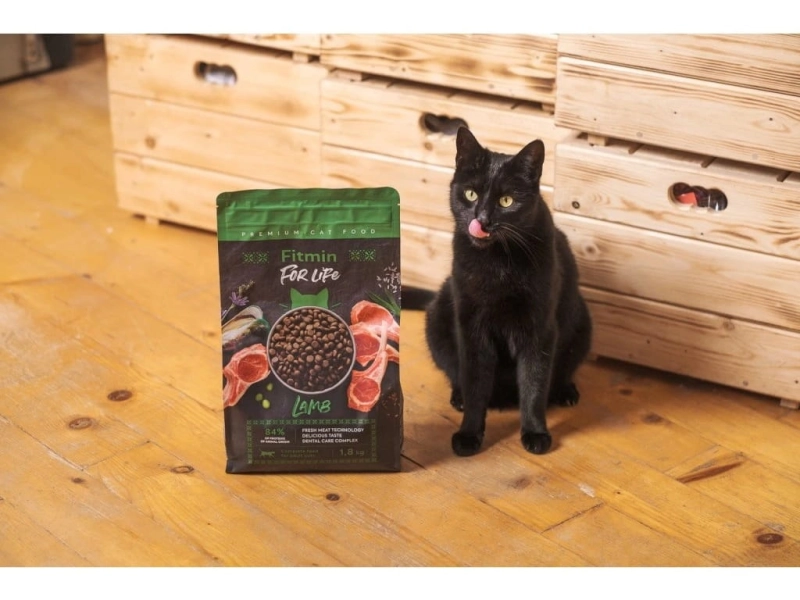 9bbc8ac36df1e64d445468b4881184ee