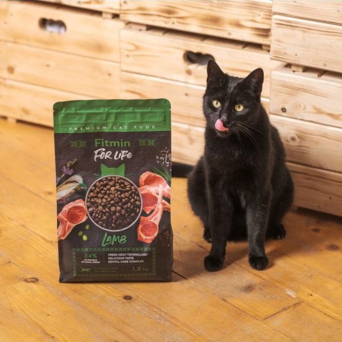 77841cacb86c48e3ee268ac953d53a72