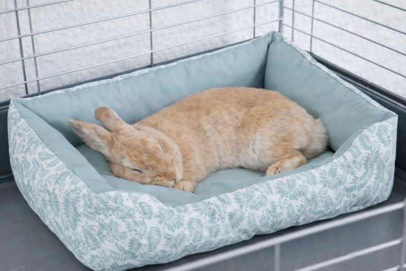 f4ca4b52bb71c8dd3bcbbdb0cff95a65