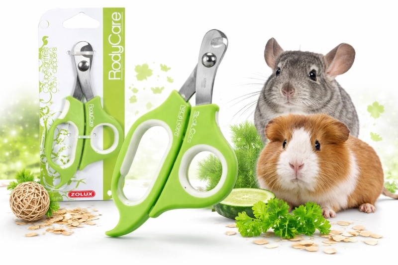 11fac7d5ae1bd3c24b89521a09007d9b