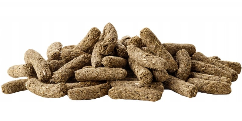 ae229cdbc1e71599f49c304614fd037e