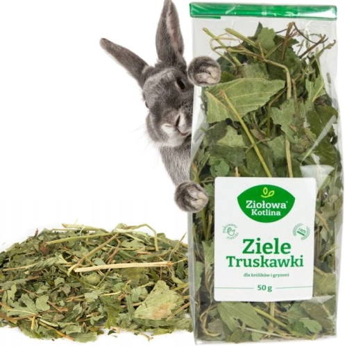Ziołowa Kotlina Ziele truskawki Przysmak smakołyk dla gryzoni 50g