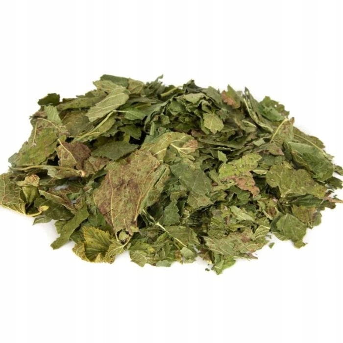 5ecaa8f34c9a683d55e128123bcc3034