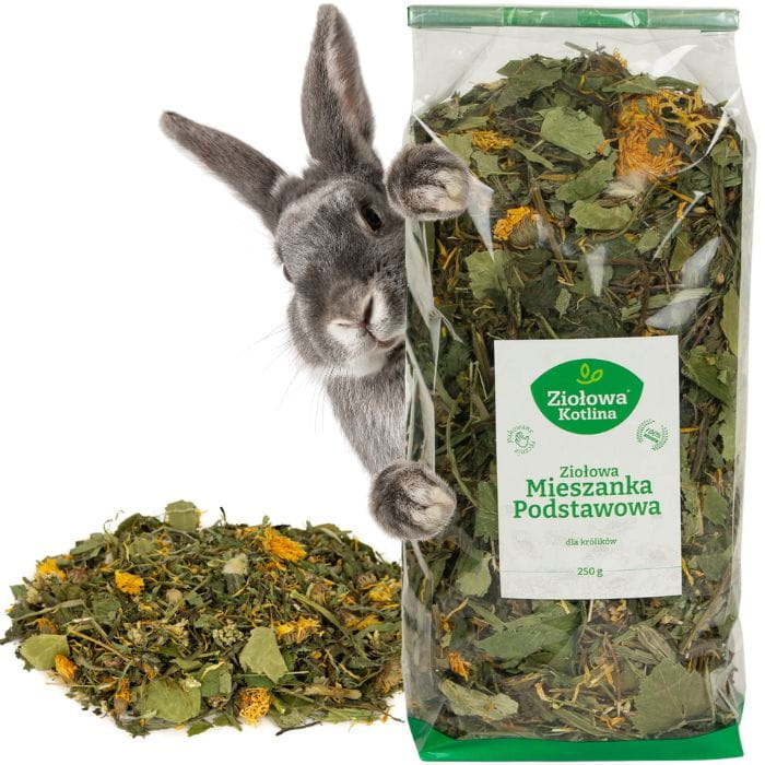 84bafd7f4f0933a3ea4a3a315131b732