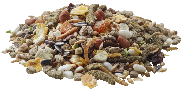 229c579c8d8d93ab730399383f3bb445