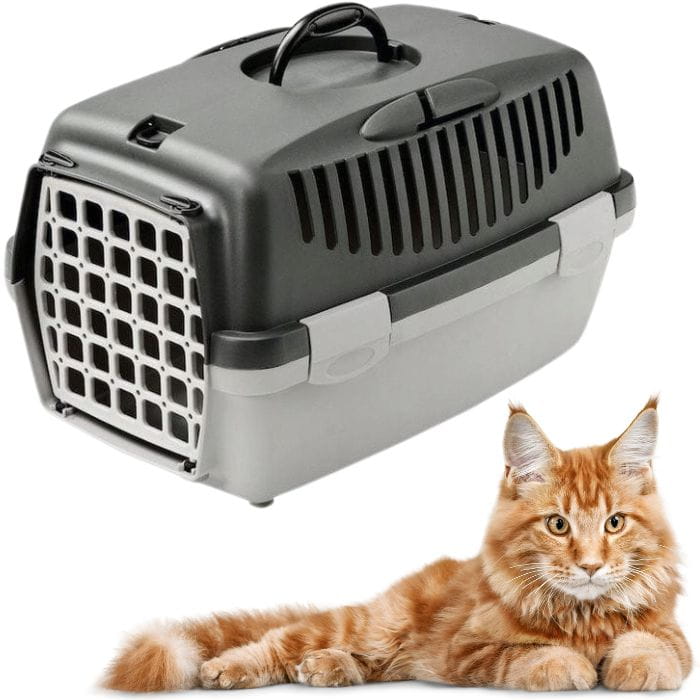 79096a8a3980573a39df6356f332879e