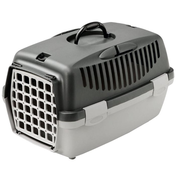 c083d1d81ff1231c96c9dcff0922e37a