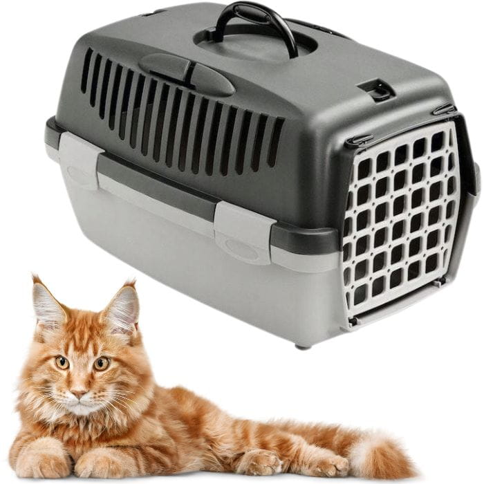 a06da5ec9a420483569792732d904577