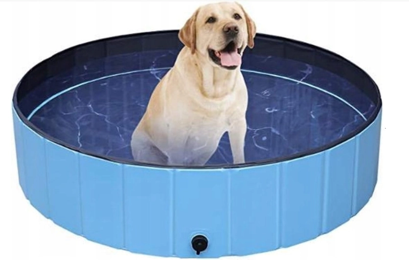 8b567d963fb5a9eaa93a3e747a8ab887