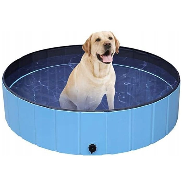 3557c2a18ed85f78c83bf19bf3710195