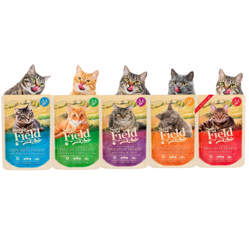 98bc0302be7cdd65e94c9d068d0451d9