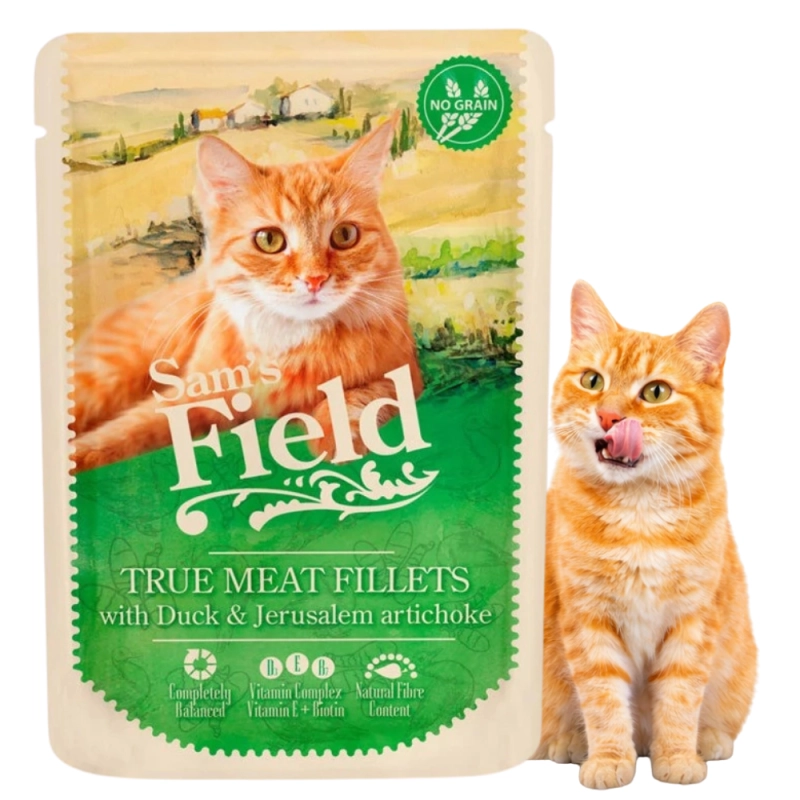 62188d5270325a47c32154d28db7a8dd