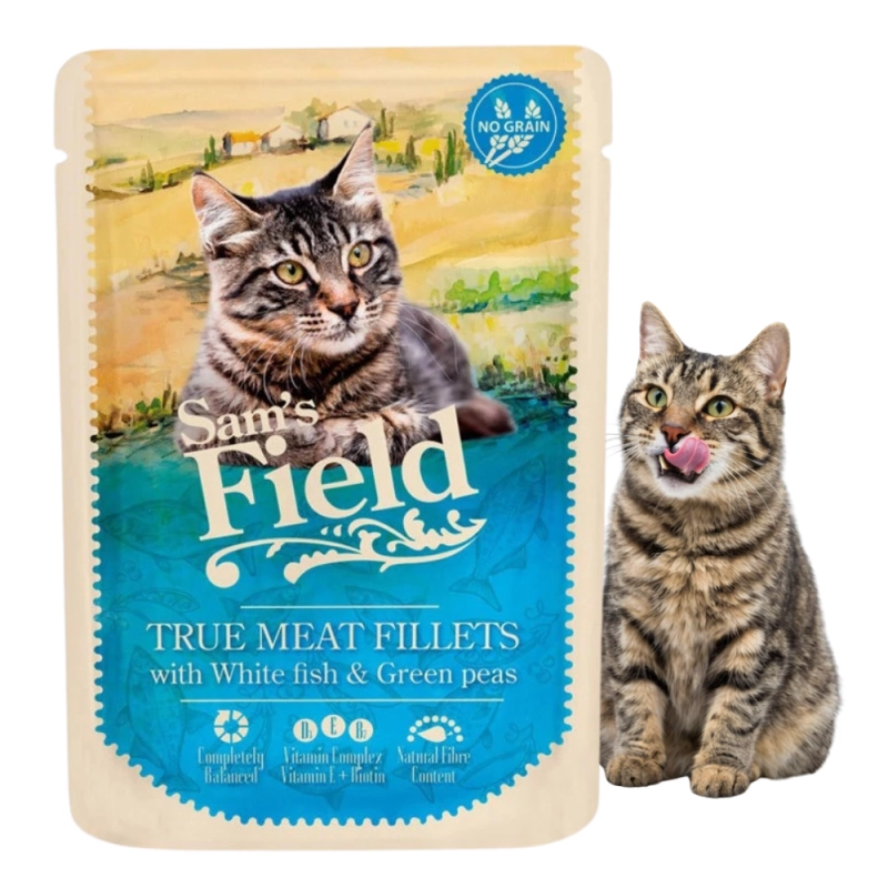 a465942bbfbe95112af0517857797be7