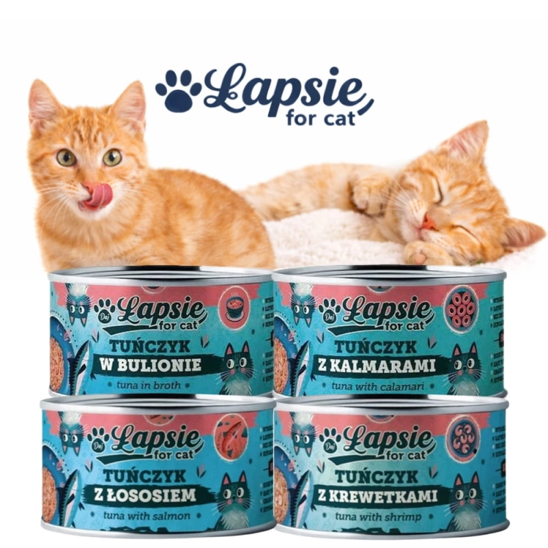 911e20fce98e276f26b5b79d0c1f825f