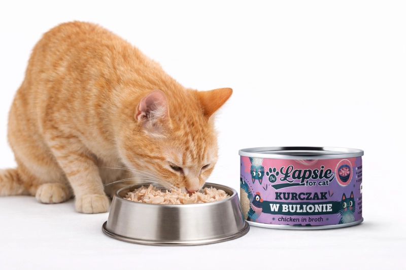 5f68682d3ec99c668610b23fcda9c363