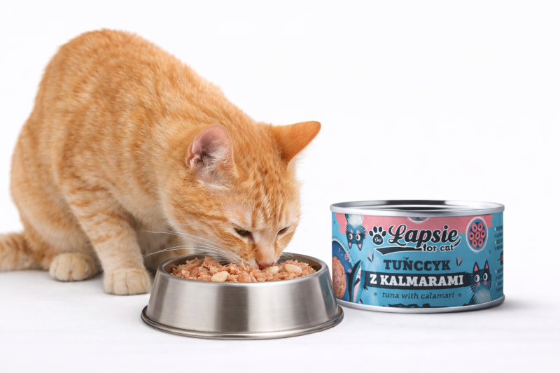 e551c6d85024e5447aeae40176145553