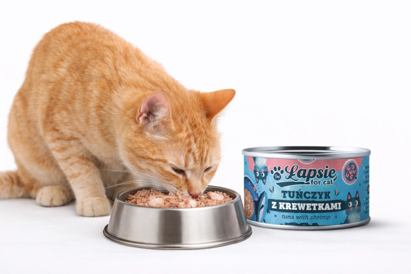 5919bb11936d1b306ed08d49fd466243