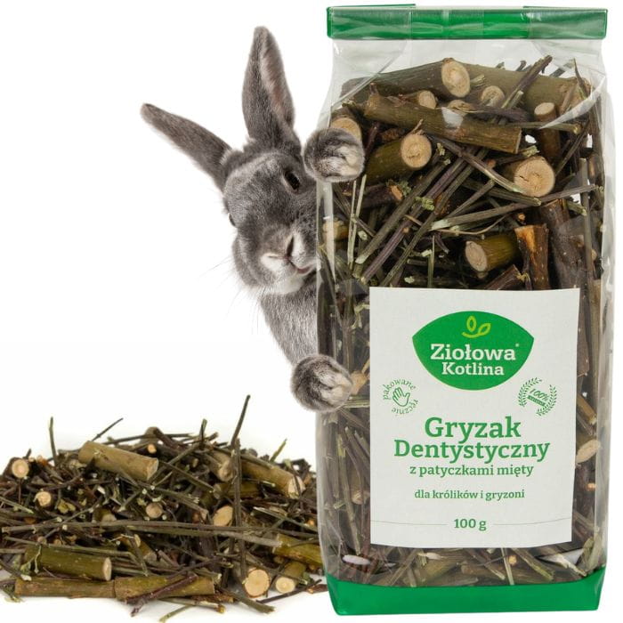 3b08802fb057484908caafe9cd121dff