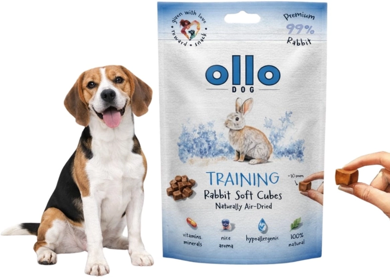 c485c10ed554f9fb1595876bfe569f35