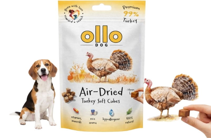 0be8e285d321a792cab8bc4177878d62